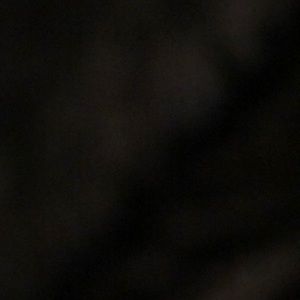 Meet your Posher, Brock